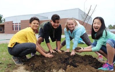 ReTreeUS: Planting Trees of Fruit and Seeds of Thought